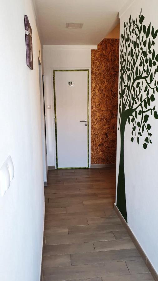 Roots Apartment Zambujeira do Mar Extérieur photo